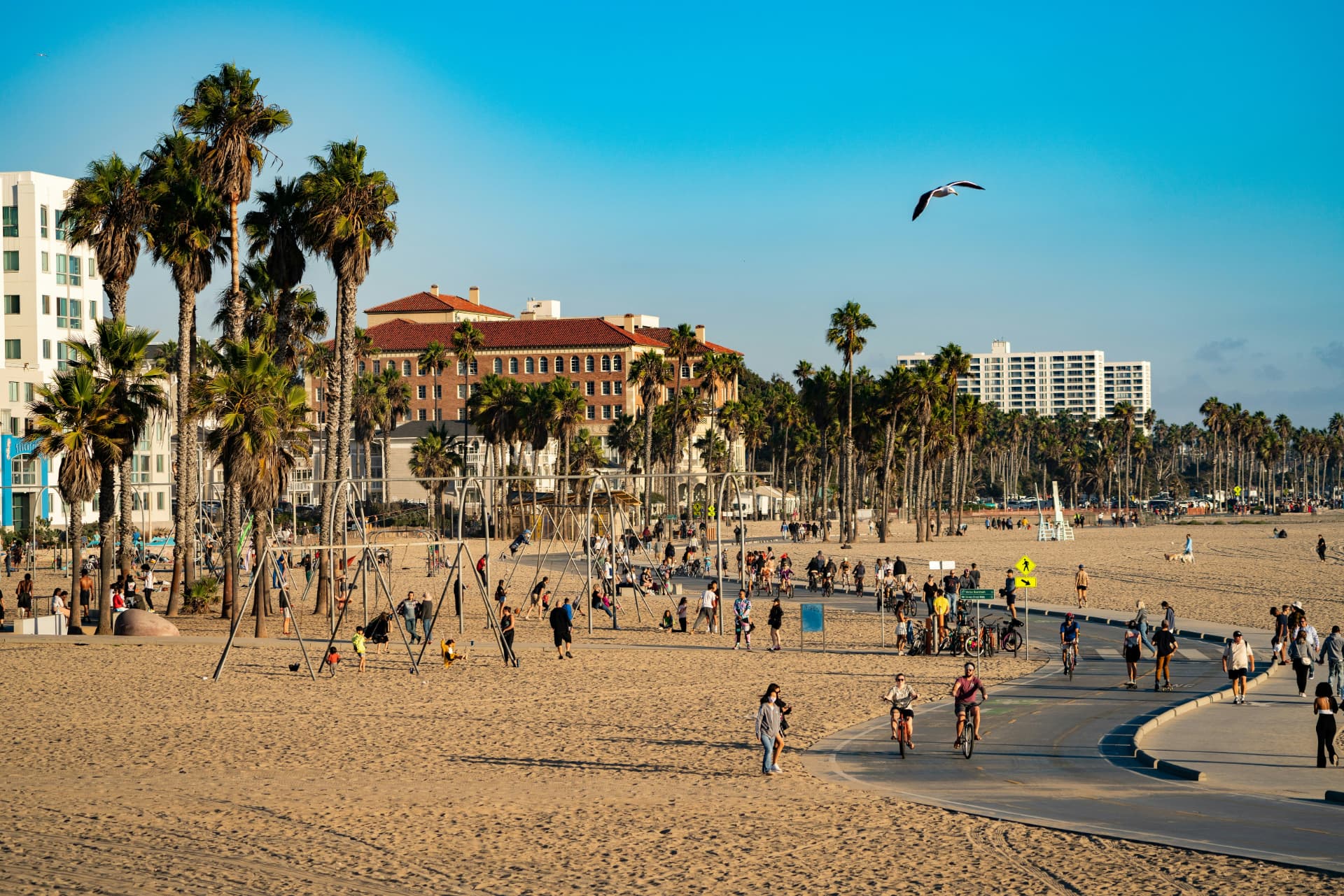Santa Monica beachfront promenade with palm trees and cyclists
