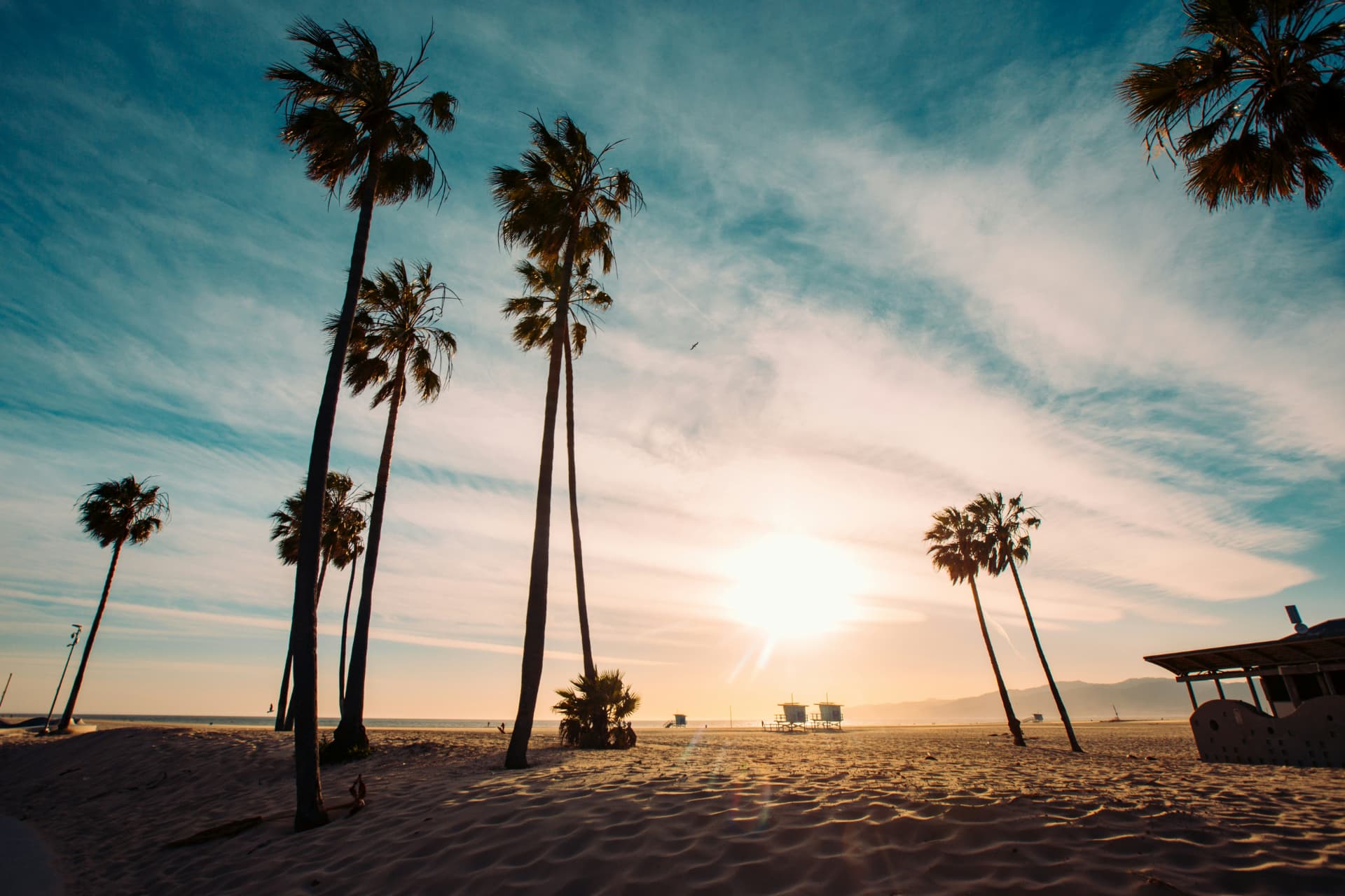 Palm trees silhouetted against a Venice Beach sunset
