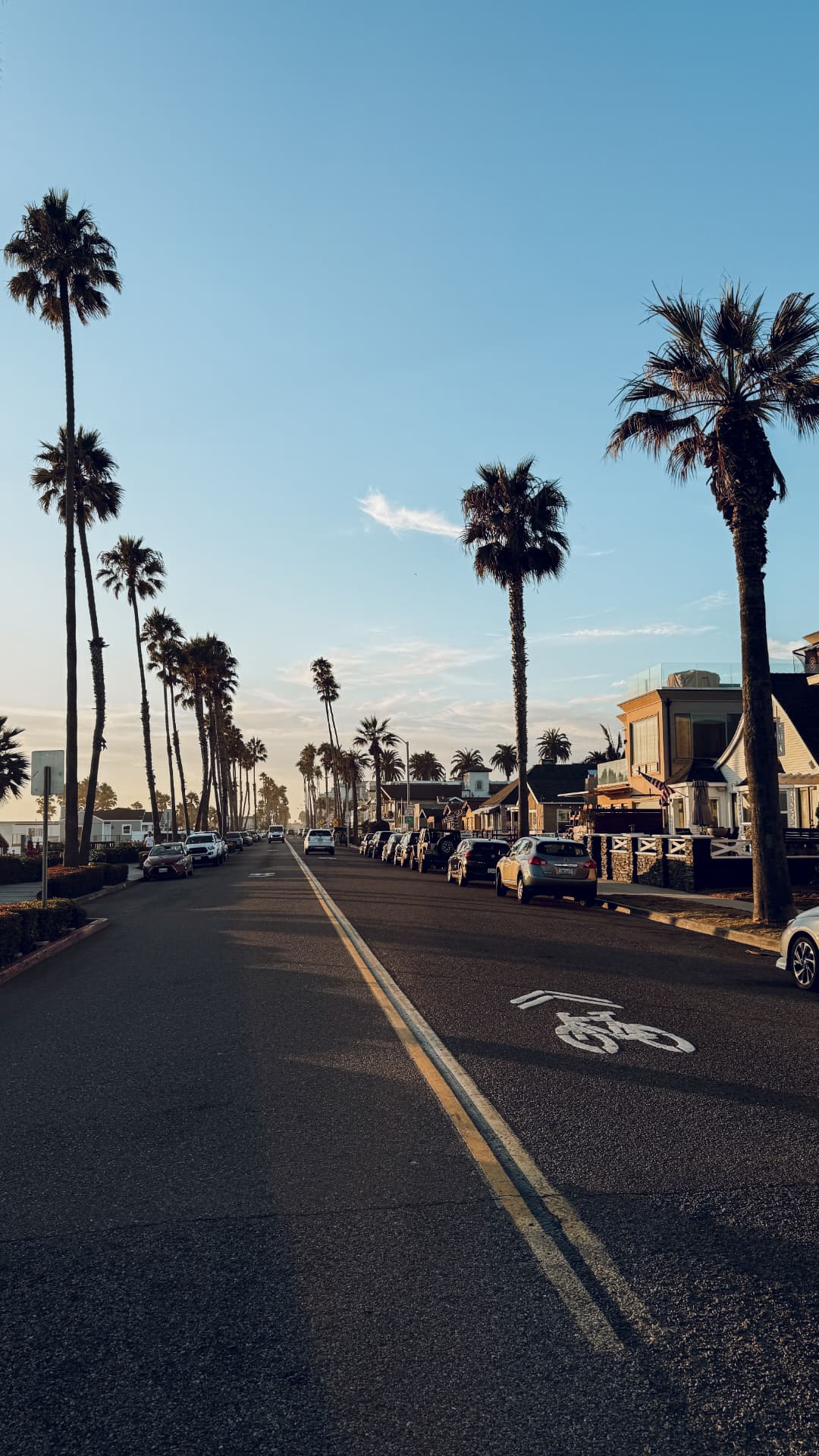Palm-lined residential street at golden hour near West Hollywood