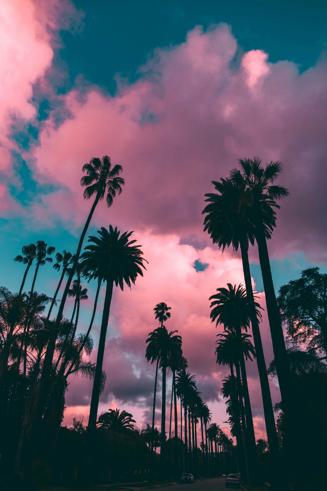 Palm-lined Beverly Hills street beneath a colorful evening sky