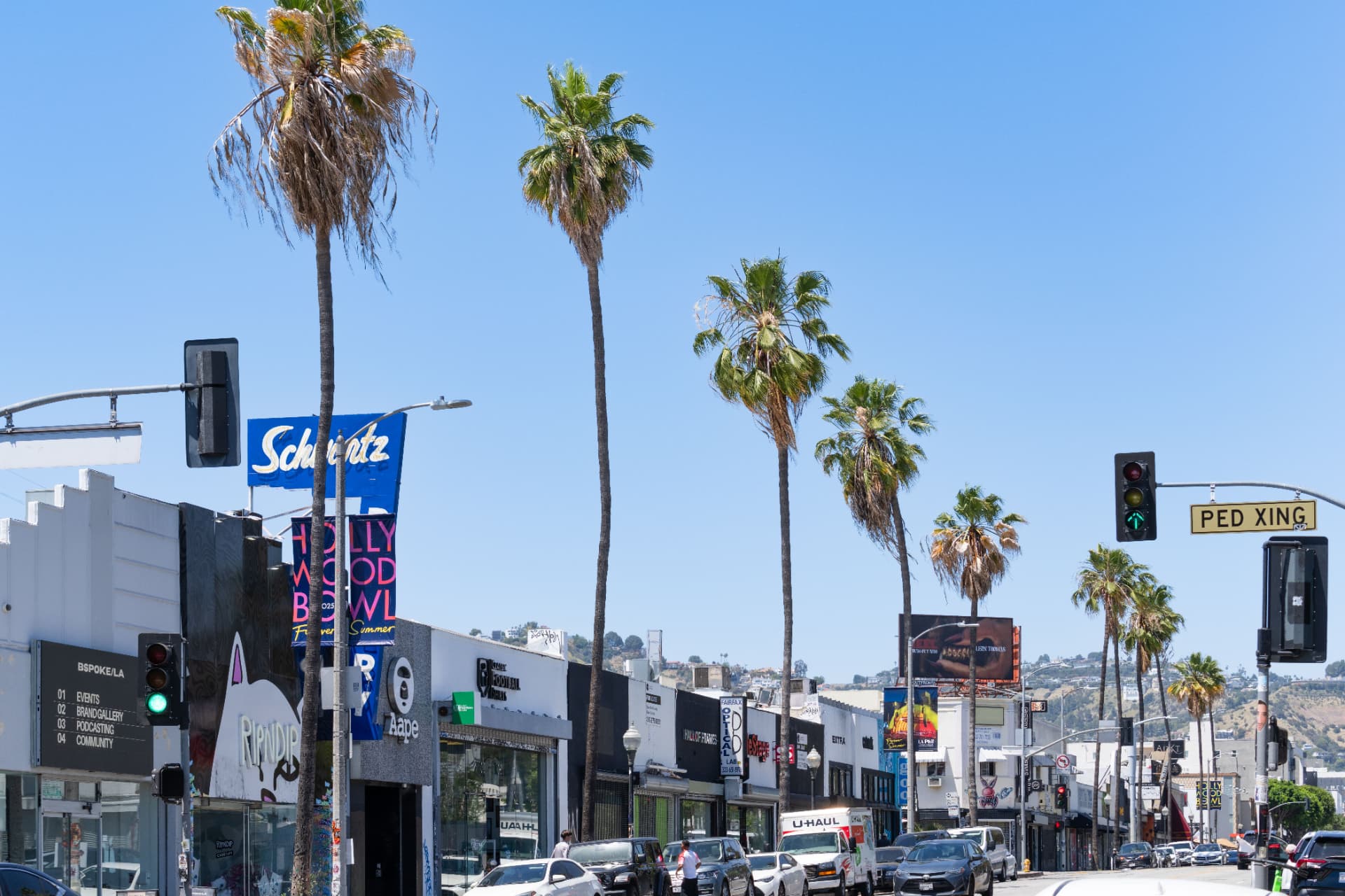 Palm-lined Melrose Avenue storefronts in West Hollywood
