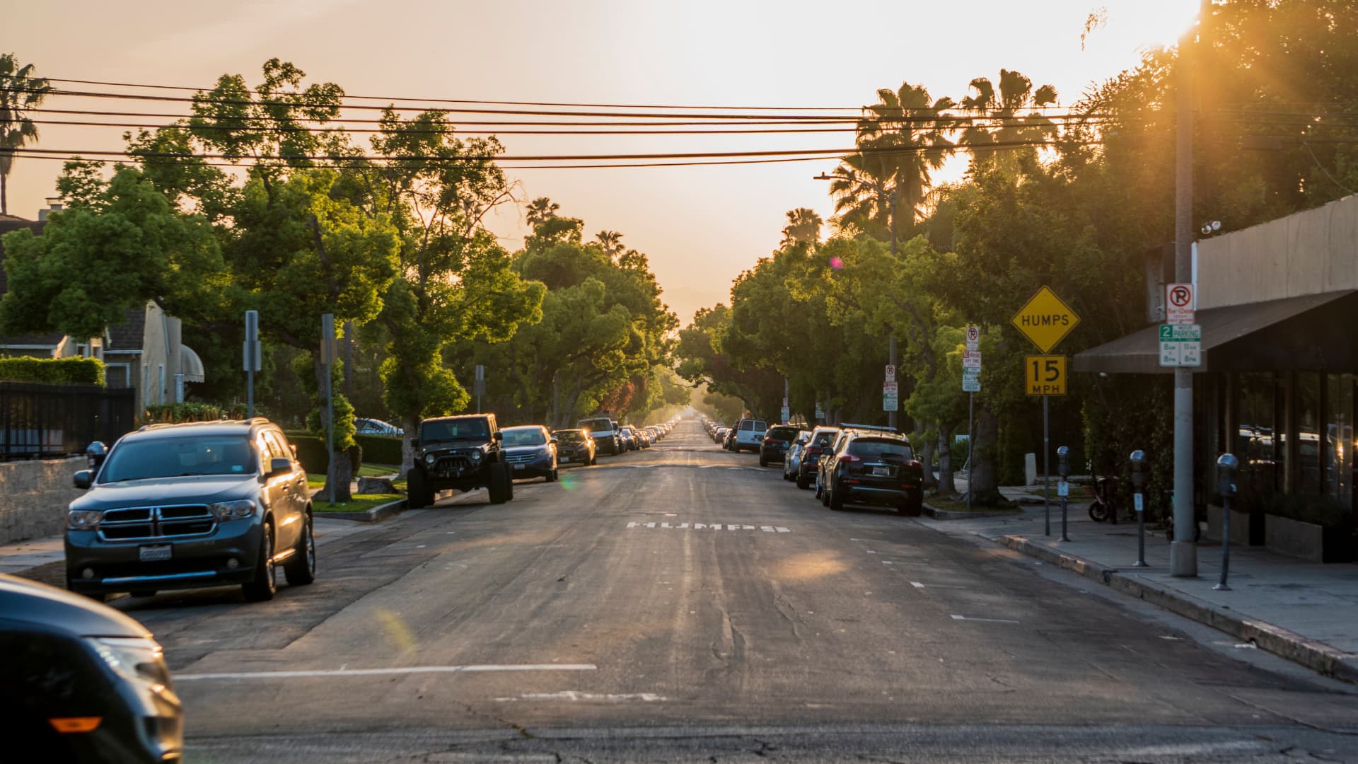 Tree-lined Sherman Oaks residential street at sunset