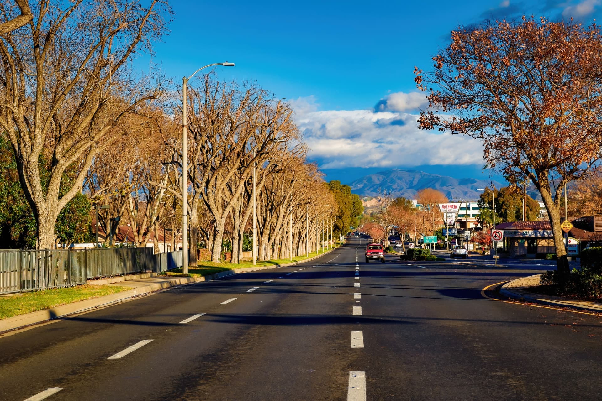 Wide tree-lined boulevard in the San Fernando Valley near Sherman Oaks