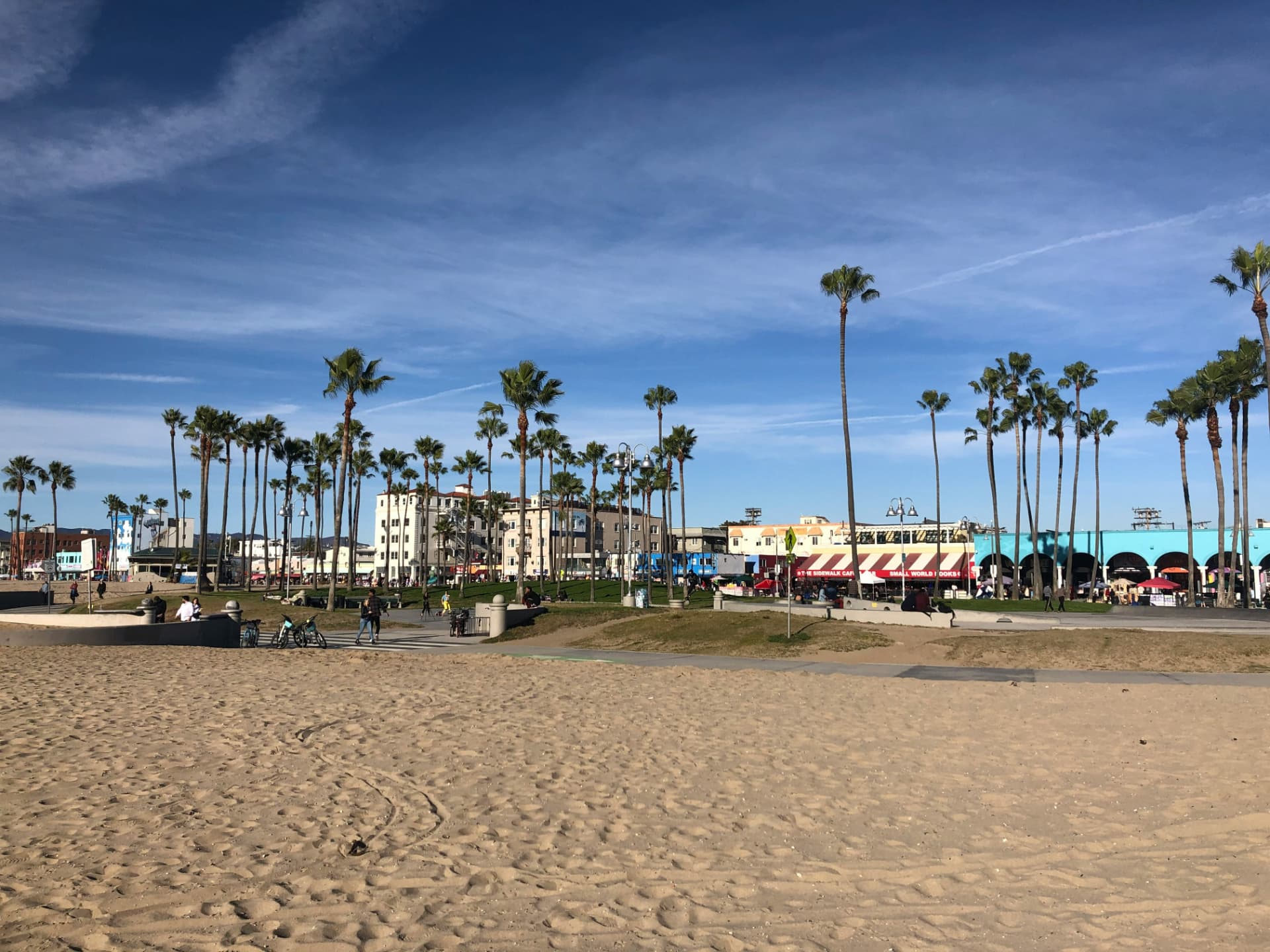 Venice Beach boardwalk with palm-lined park and shops