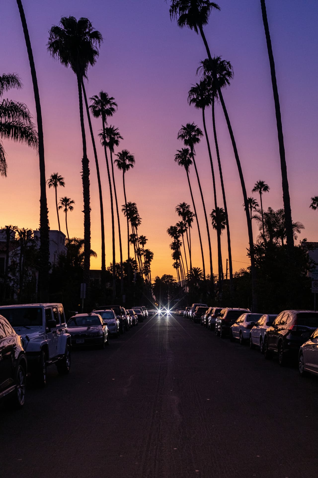 Palm-lined Santa Monica street at dusk