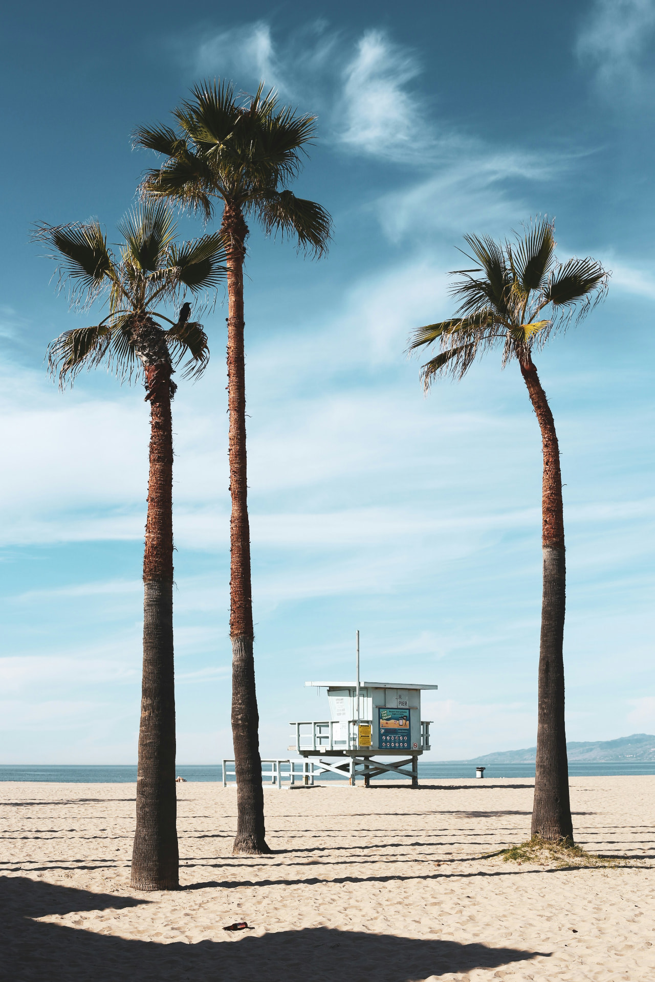 Venice Beach lifeguard tower with palm trees and ocean